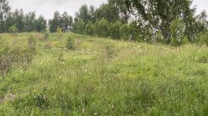 Relax. Перед дождем