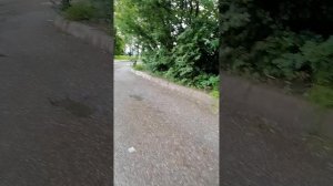 Маслобоевы