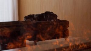 Паровой камин Stream Fireplace