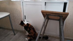 Картофельный сериал 😆 Смотреть до конца!