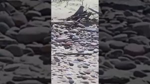 На экскурсии .Туристы купаются в холодном море  . сайт е-трипстер  ,https://www.e-tripster.ru