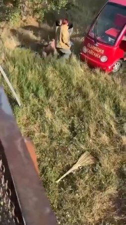 Львы напали на владельца крымского парка «Тайган» Олега Зубкова и прокусили ему горло