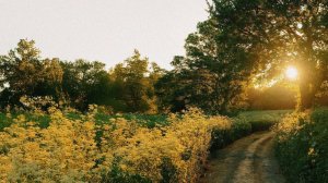 Ophelia Wilde - A sunlit garden
