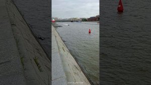 Москва формула-1 водный спорт,, Две реки,,