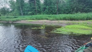 Сплав по реке Песь  ( заяц )