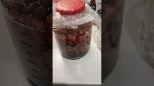 Лучший рецепт клубничной настойки.