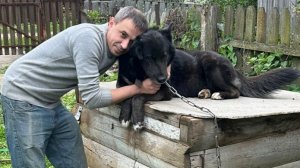 Как дела на даче