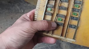 Сколько можно заработать на мусоре если его сортировать. Как заработать на мусоре без вложений.