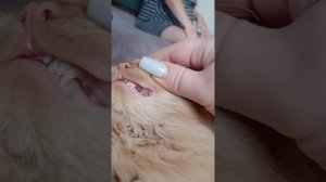 Жизнь детей 4
