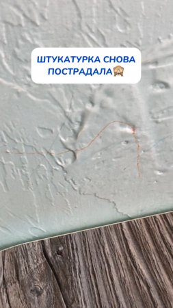 Штукатурка