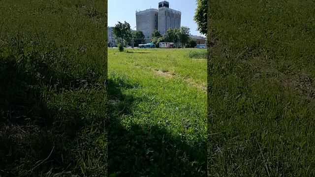 Спокойствие34