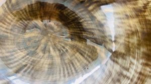 Кованая поющая чаша 20.1см Ми3 169герц Pr142