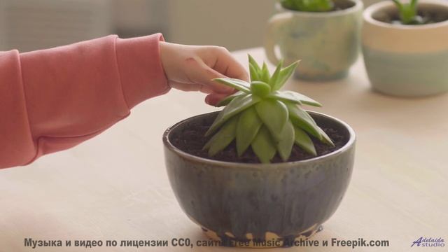 Видео, которое нельзя смотреть без нейроимплантов - или можно - Cest La Vie -- Duncan Reid and the B