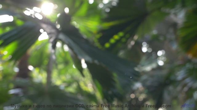 Музыка растворяет в себе вместе с пейзажами - 420 -- Ketsa -- Equinox Rising