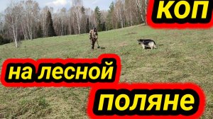 весна 2025 , коп на лесной поляне