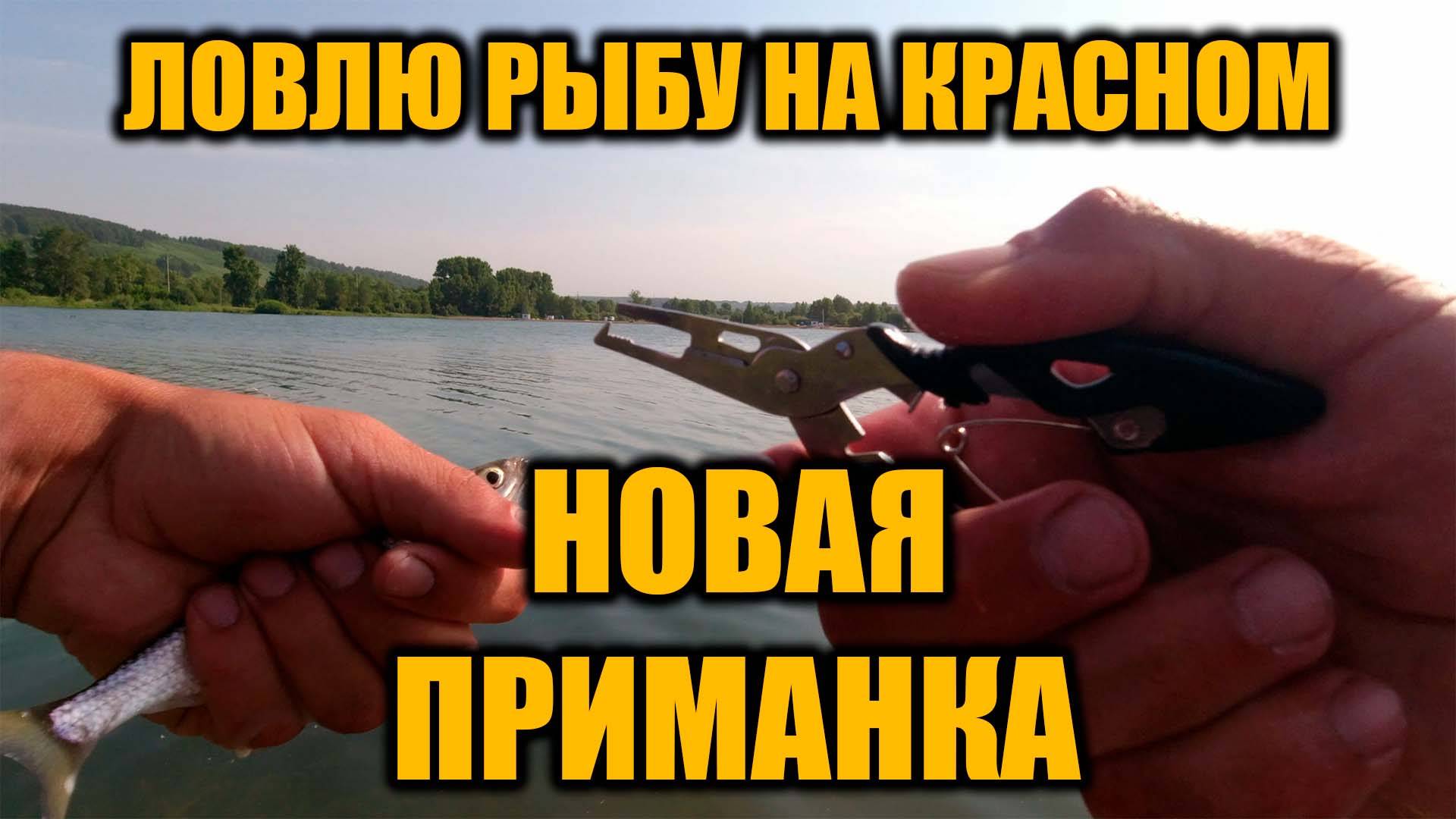 Ловлю рыбу на Красном озере. Пробую новую приманку.