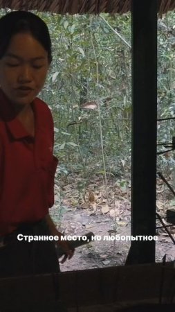 Что скрывают тоннели Кути? Погружение в историю Вьетнама 20 века