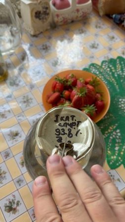 Сидр, Бочка, Цвель. #сидр #дубоваябочка #цвель