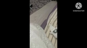 Сегодня мой день рождения!(22 июня)