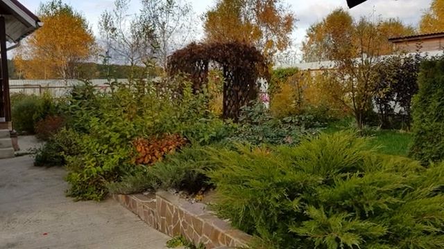 Мой летний огород часть (1)
