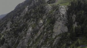 Эта музыка превращает заправку в середине ночи в свидание - Rain _ Sleep _ Meditation -- HoliznaCC0