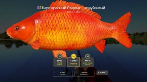 СУПЕР ФАРМ НА ЯНТАРНОМ ОЗЕРЕ И СТАРОМ ОСТРОГЕ НА ЛЕЩЕ В РУССКОЙ РЫБАЛКЕ 4 РР4