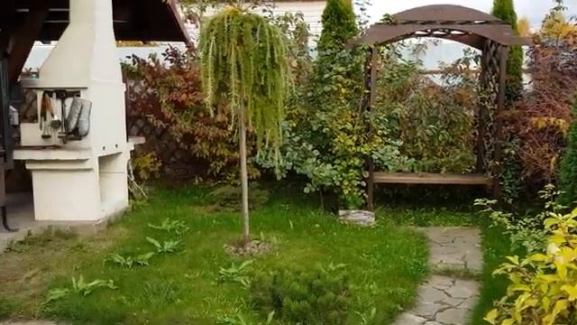 Мой летний огород часть (13)