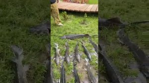 22-06-2025