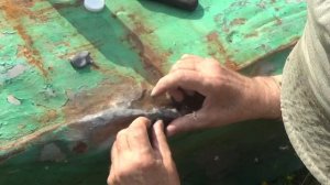 Что делать когда наступает лето Готовиться к нему