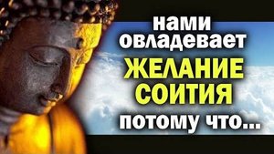 Будда Шакьямуни - цитаты способные перевернуть твой мир
