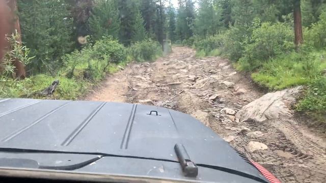 Алтай, лето 2020