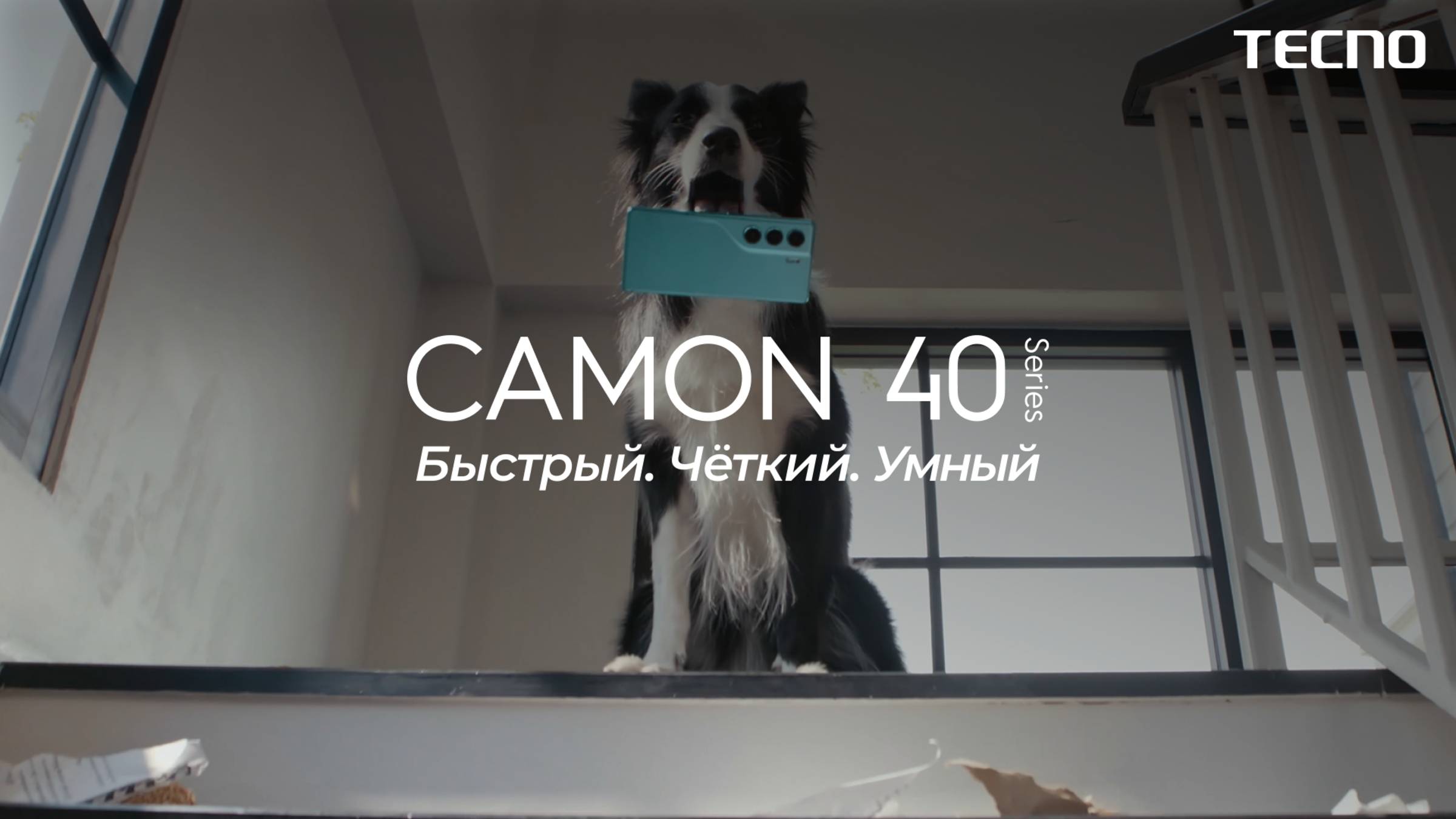 Что будет, если оставить TECNO Camon 40 наедине с собакой?
