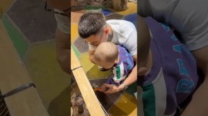 VID-20250510-WA0069