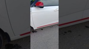 1000516387.mp4