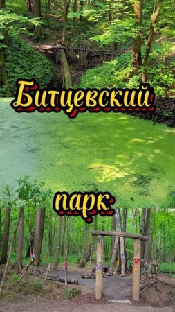 Битцевский парк 2025. Июнь 2025г