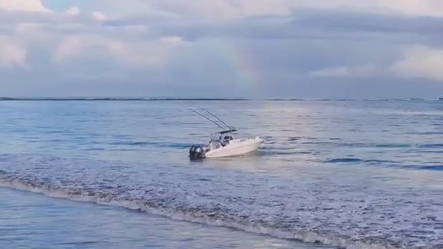 Гармония природы под музыку ветра и листьев – Часть 21
