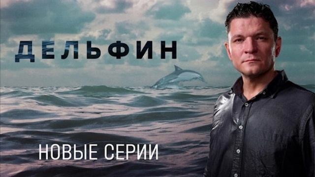 Дельфин 2 сезон  Обратный отсчет 2-я серия