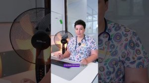 Жара и питомцы 🌡 Как защитить собаку или кошку от перегрева