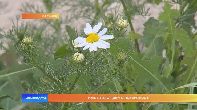 Жары в Мордовии до начала июля не предвидится