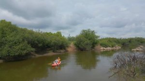 2025 06 семейные сапа