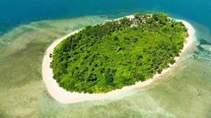 Гармония природы под музыку ветра и листьев – Часть 23