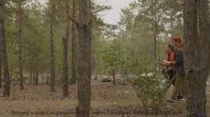 Эта композиция создана квантовой запутанностью - услышьте связь всего со всем! - Needing Silence, Ne