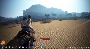 BDO