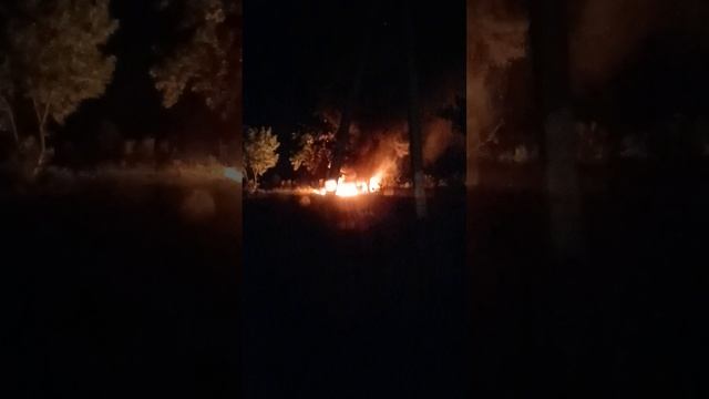 ст.Казанская пожар на кладбище