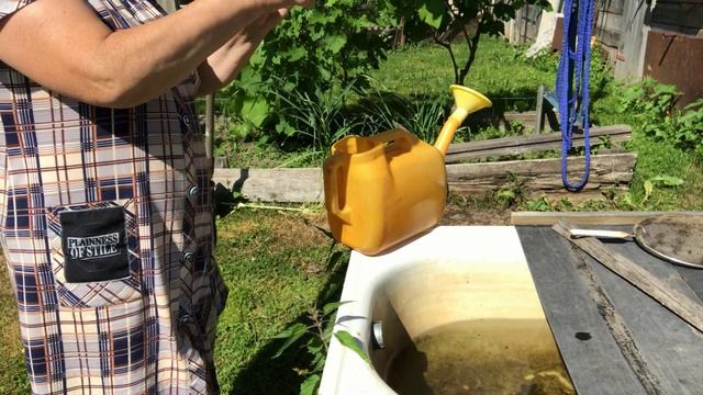Обработка растений нужно защитить растения и кустарники от болезней и фитофторы.