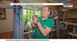 Журналисты «Вести Крым» подготовили подробный репортаж о жизни и работе Человека-Льва, Олега Зубкова