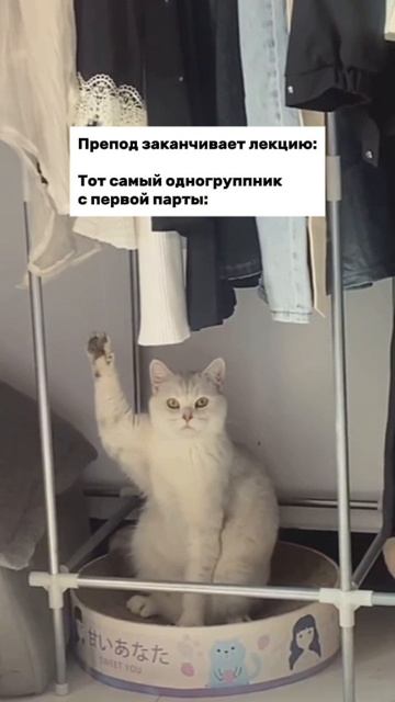 Извините, у меня вопрос
