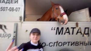 влог с соревнований | кубок кск «алмазово» по конкуру | 9.05