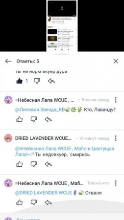 Посмотрите что Лаванда написала!
