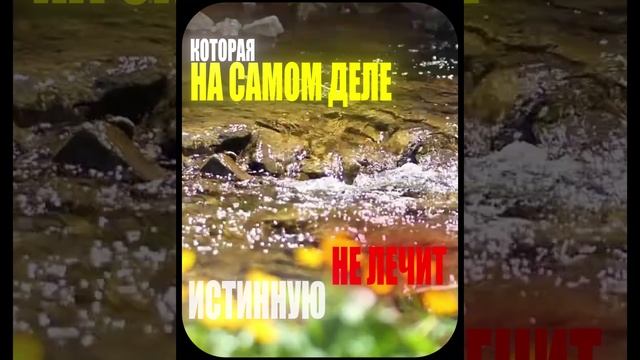 Как ПОЛЮБИТЬ себя по-настоящему и изменить свою жизнь навсегда #саморазвитие #любовьксебе